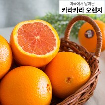 23년 2월제철 고당도 카라카라오렌지 2kg 4kg 8kg 10과 20과 40과 택배 배송, 40과 8kg 내외(개당 200g 내외)