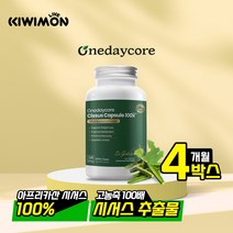 원데이코어 고농축 20배 시서스 120캡슐