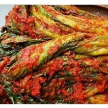 토종갓김치 갓김치담그는방법 맛집 주문 맛있는 남도 돌 산 해남갓김치 3kg 5kg