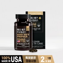 미국산 무균 벌꿀 벌집 허니 프리미엄 프로폴리스 플라보노이드 구강 잇몸 어금니 상처 염증 고름 부었을때 아플때 입안이 헐었을때, 1BOX(2개월분)