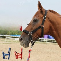 말굴레 말고삐 승마 마방굴레 로프 고삐, 검은색(어깨 높이 110-130cm)