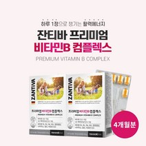 독일 직수입 완제품 활력 에너지 수용성 프리미엄 비타민비 컴플렉스 비타민 B1 B2 나이아신 판토텐산 B6 엽산 B12 비오틴, 2BOX(4개월분)