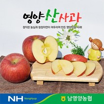 경북 영양농협 사과 꿀부사 10kg 46-50과 미세기스, 단품