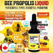 캐나다 비 프로폴리스 골드 스포이드 30ml 초등학생 먹는 프로폴리스 폴리폴리스 리퀴드 항산화 플라보노이드 폴라보노이드 함량 17mg 청소년 성장기 수험생 유아 아기 영양제