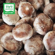 두메골농원 영양 무농약 버섯 착한 송이 500g 중품, 1개