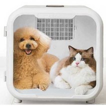 고양이 드라이룸 고양이 털 건조기 목욕 드라이기, 표준형
