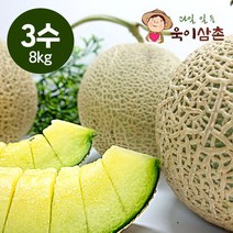 욱이삼촌 머스크 멜론 3수 8kg, 없음