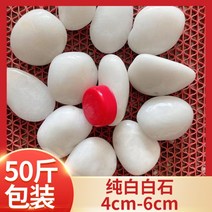 백자갈 25kg 에그스톤 콩 흰 조경 자갈 돌 원예 인테리어 화분, 25kg 4-6cm(+윤기), 25000g