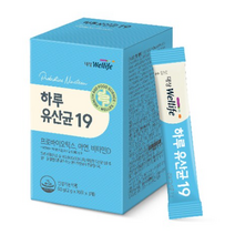 대상웰라이프 하루 유산균 19, 60g, 4개