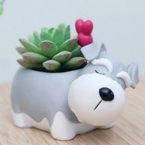 ROOGO 루고 다육이 미니화분 잠자는 강아지 슈나우저 (다육식물 불포함)