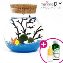 LED어항 350ml세트-마리모 1cm 유리자갈 블루 diy 키트, 1개