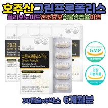 항산화 면역영양제 그린 프로폴리스 플라보노이드 항산화 호주 수용성 폴리폴리스 효능 면역케어 면역력높이는 방법 음식 환절기영양제 고함량 캡슐 호주산 건강식품 항산화작용 프로폴리스추출물 성분 유해산소 착색료 감미료 없는 PROPOLIS 세포보호
