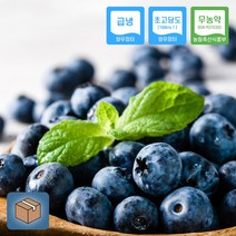 전북 순창 무농약 블루베리 1kg 냉동과 급랭 친환경 2022년, 무농약 블루베리 냉동과(왕품) 1kg