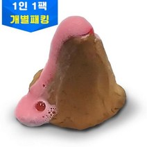 사이언스월드 화산모형 만들기 1인1팩 개별포장 화산실험세트