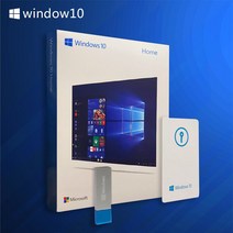 정품 win10 윈도우10 윈도우11 PRO 영문판 OEM 설치용 USB 라이센스 동봉 64비트, Win10 Professional 영어 CD