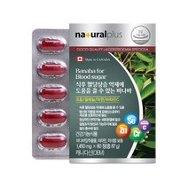 내츄럴플러스 차태현 바나바잎 추출물 60정 1박스(2개월분) 식후 혈당상승 억제 / 3박스 구매시+본품1박스, 3+1(총4박스)