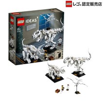 [유통 상품]레고(LEGO)아이디어 공룡의 화석 21320장난감 장난감 블록 남자 어른 오토나 레고 인테