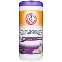 암 앤 헤머 펫 프레쉬 파우더 카펫 클리너 510g Arm & Hammer Pet Fresh Formula Dry Carpet Cleaner, 1
