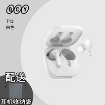 블루투스 무선 이어폰 QCY T13 T13ANC 큐씨와이 노이즈 캔슬링, 리스벳, 정부표준배치