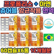 면역 항균 프로폴리스 벌꿀 페퍼민트 로얄제리 분말 구강내 항균작용 츄어블 ptp포장 벌꿀분말 프로폴리스 프로폴리스 아연 간편휴대 씹어서 섭취 건강기능식품