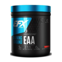 EFX 스포츠 트레이닝 그라운드 EAA EFX Sports Training Ground EAA