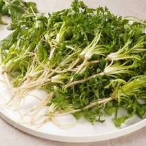 농가살리기 고성 냉이 세척 노지 경남 500g 1kg, 노지 냉이 500g