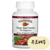 [내추럴팩터스]-M1-포도씨 추출물 그레이프씨드 리치 60개입 Grape Seed Extract 90캡슐