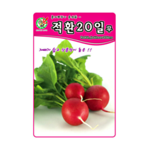 적환20일무 1000립 래디쉬 적환무 20무 방울무 씨 씨앗 종자, 그린하트 적환20일무
