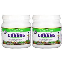 1+1 파라다이스허브 ORAC Greens 364g 가시오갈피 동충하초 아가리쿠스 이눌린 잎새버섯 아티초크 밀크시슬 아사이 베리즙 아쉬와간다 크랜베리 클로렐라 로디올라 함유, 1개, 기본