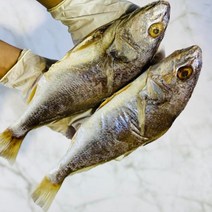 바다꼭대기 태평양 민어굴비(급냉)5미(1미30cm내외), 단품
