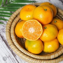 [리뷰 6700건 이상] 믿음직한 제주 햇 귤, 1box, 제주감귤 5kg(2S)