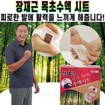 장재근 목초수액시트 발바닥 휴족 패치 풋케어 피로 붓기 완화 취침 전 다리 휴식 도움 40매 80매 추천 후기 [로코스샵 홈쇼핑], 2박스