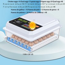 병아리부화기 계란부화기 자동 인큐베이션 220110V 12V 병아리 알 조류 메추라기 닭 거위 가금류 부화 농장, 03 16 double 110V US