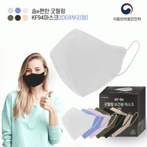 마스크 숨e편한 굿필링 KF94 KF-AD 2D 새부리형 컬러 100%국산 대형 소형 황사 방역 마스크 5매포장, 03-숨e편한 KF-AD 새부리형마스크(블랙)