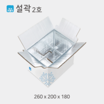 설곽 종이 아이스박스 2호 20개입, 20개
