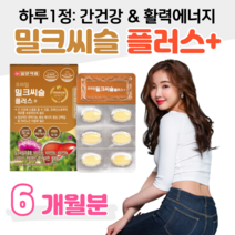 밀크씨슬 밀크시슬 간 건강 도움 영양제 실리마린 하루한알 활력 비타민B 면역 아연 판토텐산 셀레늄 20대 30대 대학생 직장인 회사원 수험생 공시생 취준생 성인 남자 남성 여성, 6박스, 900mg x 30정 (하루 1정)