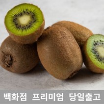 [특 등급 선별] 그린키위 1kg 키위 키위효능 레드키위 제철과일 골드키위 백향과 열대과일 참다래 골드키위효능 제스프리골드키위 제주레드키위 키위주스 골든키위 수입과일 냉동키위