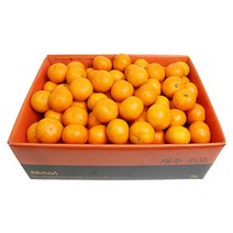삼다몰 제주 노지 감귤 선물세트 5kg 10kg, 1박스, 노지 감귤 꼬마 5kg