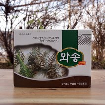 와송즙 액기스 진액 와송 주스 차 국내산 생와송 엑기스 바위솔 무첨가물 신선한 기타건강즙