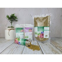 오스모코트 1kg 알비료 식물영양제 화분영양제 친환경 뿌리활력제, 01.오스모코트100g
