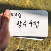 [군인수첩] 제이포 스프링 휴대용 미니 노트 수첩 무지, 3개, 투명