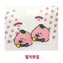 800복수니홀더화일, 랜덤