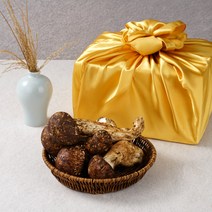 자연산 송이버섯 생송이버섯 선물세트 설 추석 명절 선물용, 1박스, 2품 500g+보자기포장