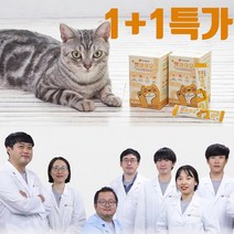 고양이 전문 유산균 영양제 설사 변비 구토 면역력 장건강 프로바이오틱스 프리바이오틱스 파우더 캣바이오 1 1