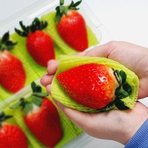 논산 킹스베리 딸기 생딸기 1kg 세자베리