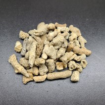 뼈산호 100g 산호사 알칼리성 여과재 어항 바닥재 시클리드 해수어, 500g