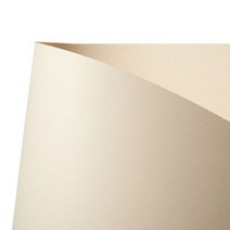 티라미수 A4펄지, 50매, 진갈색펄