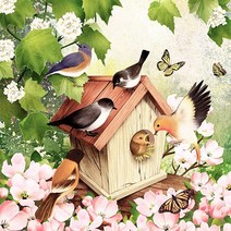 파스텔크래프트 DOMMOS 냅킨아트 2118270 Bird House 냅킨20매 33x33cm 2046, 20매입, 혼합색상