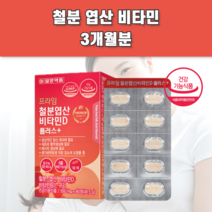 임신 임신중기 임신중 임신부 임산부 산모 출산후 수유부 노인 청소년 청소년기 초등 초등학생 중학생 고등학생 남자 남성 철분 철분제 철분제제