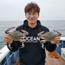 삼시세끼연구소 오직 연평도 2026년 봄꽃게 활